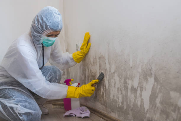 Water Damage Restoration in Homewood, AL